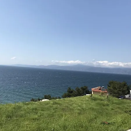 Blue 84 Mudanya